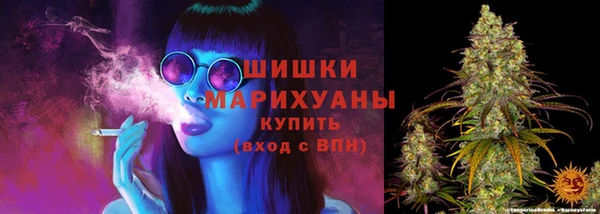 стафф Нефтекумск