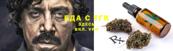 твердый Новозыбков