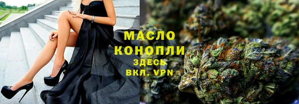 сатива Новодвинск