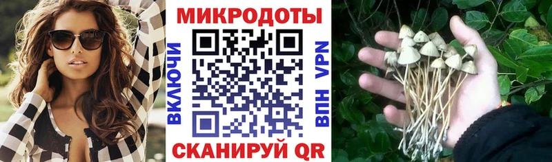 купить наркотики сайты  Сурск  Галлюциногенные грибы Psilocybine cubensis 